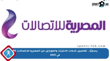 رسميًا.. تفاصيل خدمات الإنترنت والموبايل من المصرية للاتصالات WE في 2025